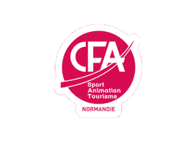 CFA SAT NORMANDIE Sticker