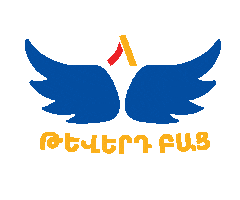 Wings Airplane Sticker by Fly Arna