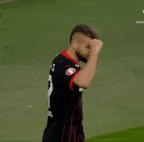 Football Celebration GIF