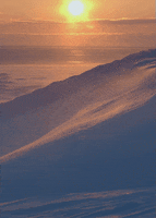 200.gif?cid=fc005b08cb826122ca851797974266cb6fc4dd235976b687&rid=200.gif&ct=g