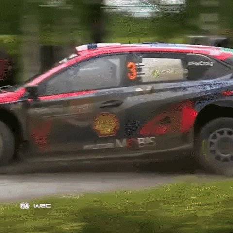Fail No Problem GIF by FIA World Rally Championship