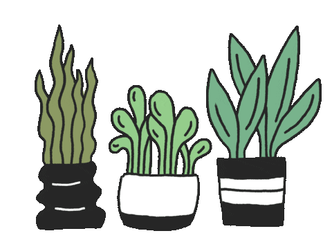 Plant Cute Sticker - Plant Cute Pop - Discover & Share GIFs