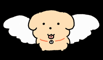 Dog Puppy GIF