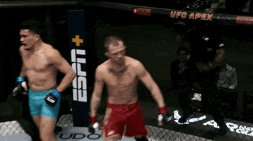 Episode 7 Mma GIF by UFC