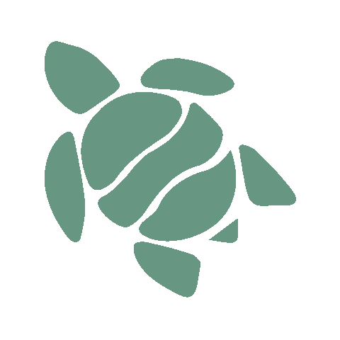 Beach Ocean Sticker by SienteMX