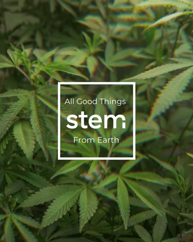 Good Things Weed GIF by E1011 Labs