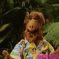 Alf Tv GIFs - Get the best GIF on GIPHY