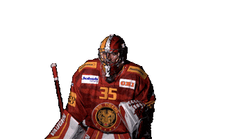 Save Ice Hockey Sticker by scl_tigers_official