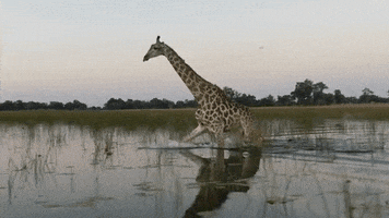 source: imgur.com