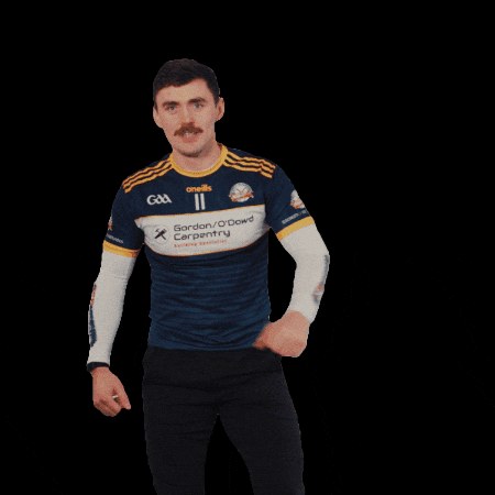 All-Ireland GIF by AIB