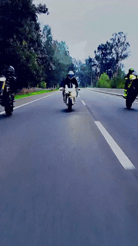 Onlyriders GIF