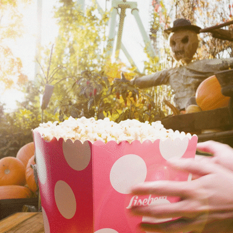 Amusement Park Popcorn GIF by Liseberg