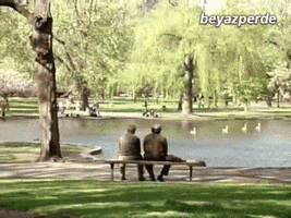 duygukocabayloglu goodwillhunting candostum GIF