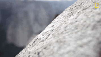 Pull Up Nat Geo GIF by National Geographic Channel