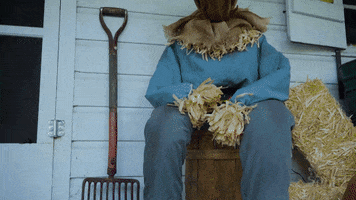 scarecrow GIF by Spirit Halloween