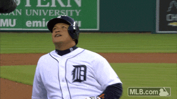 Detroit Tigers No GIF by MLB