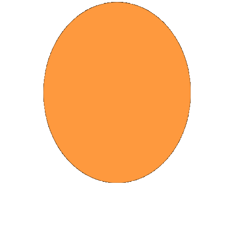 Hoag Hospital Foundation Sticker