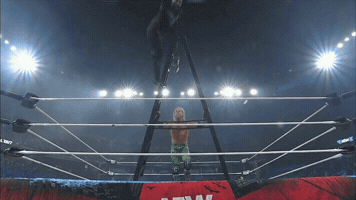 All Out Fall GIF