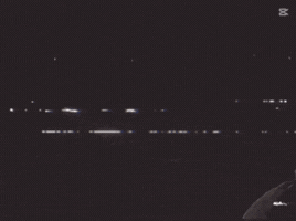 Staring Line Up GIF