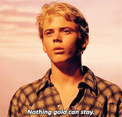 the outsiders GIF