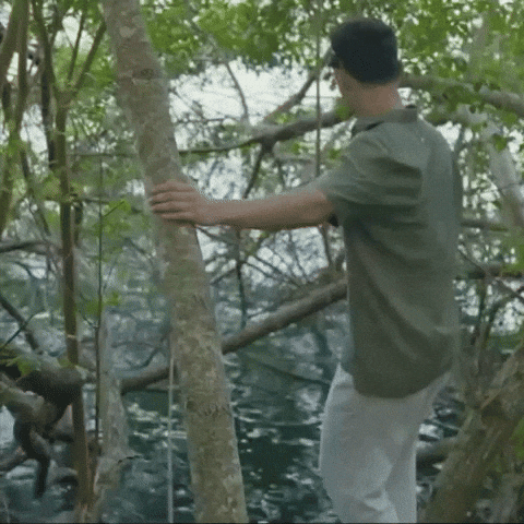 Luan Alencar GIF