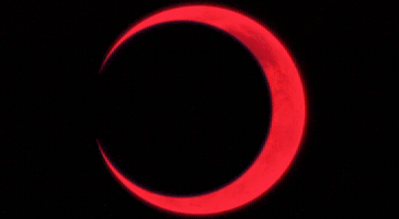 Bleach GIF