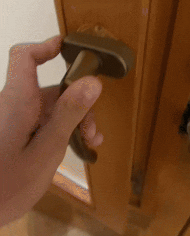 Cat Dog GIF