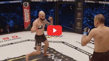 Mixed Martial Arts Fighting GIF by We love MMA