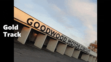 goldtrack trackday goodwood goldtrack GIF
