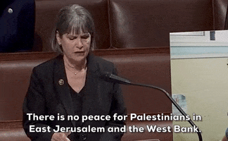 West Bank GIF by GIPHY News
