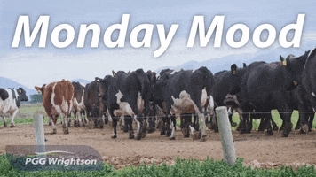 PGG Wrightson Retail & Water GIF