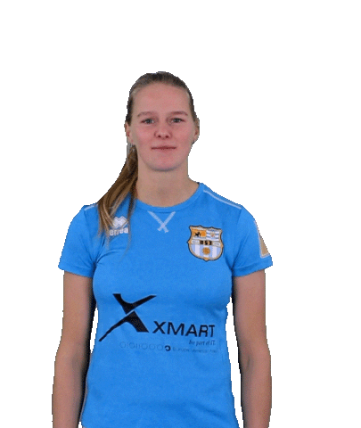 Beachsoccer Zeeland Sticker