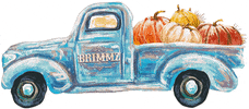Fall Pumpkin GIF by BRIMMZ
