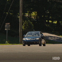 Driving Red Light GIF by HBO