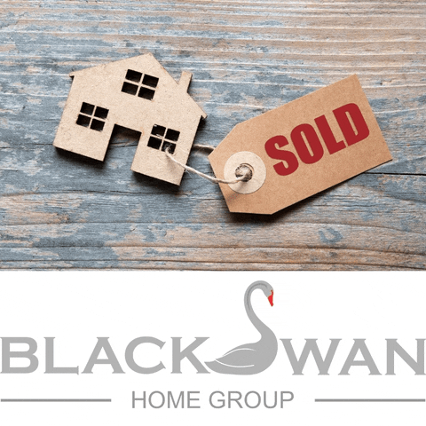 Blackswan GIF by Black Swan Home Group