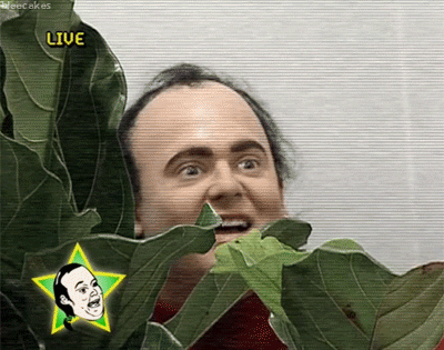Tim And Eric Awesome Show Great Job GIFs - Find & Share on ...