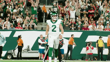 Lets Go Nfl GIF by New York Jets