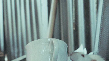 Rat Musicvideo GIF by Mollie Elizabeth