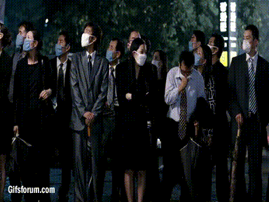 Coronavirus vs. Flu Virus