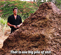 poo dookie GIF