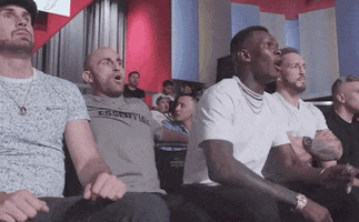 Episode 2 Sport GIF by UFC