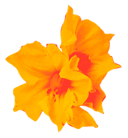 Hamburguesas El Corral Sticker