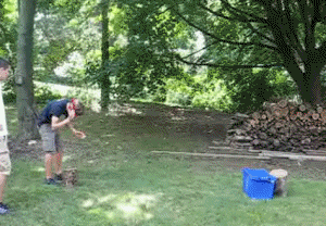 wood pranks GIF by Cheezburger