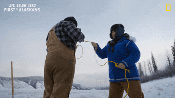 Tug Of War Friends GIF by National Geographic Channel