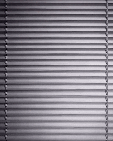 Mood Motivation GIF by Rep King