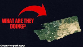 Washington What Are They Doing GIF