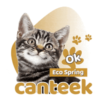 Cat Kitten GIF by Eco Spring  at Iskandar Malaysia