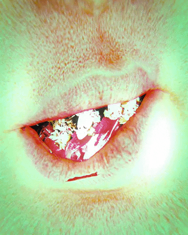 Lips Kiss GIF by davidvnun