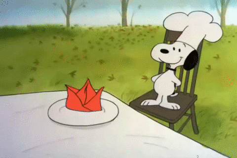 Snoopy And Woodstock Gifs Get The Best Gif On Giphy