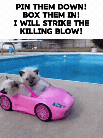Freck GIF